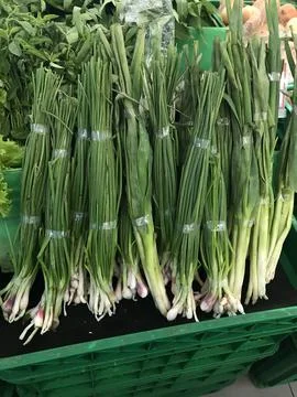 Scallion or spring onion Foto stock