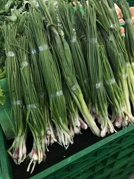Scallion or spring onion Foto stock