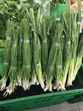 Scallion or spring onion Foto stock