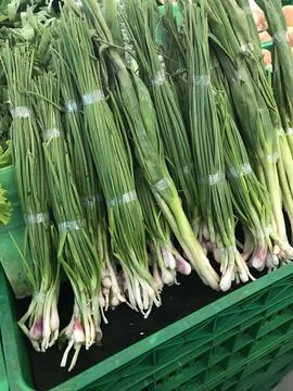 Scallion or spring onion Foto stock