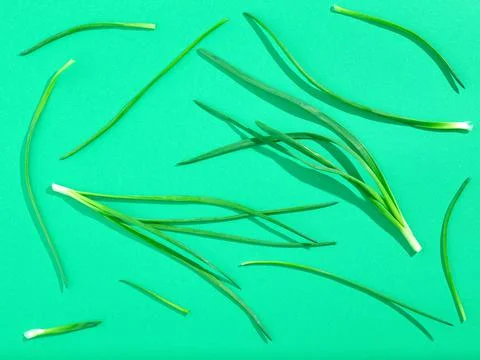 Scallion pattern on green background, from above, hard shadow Stock Photos