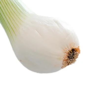 Scallion Stock Photos