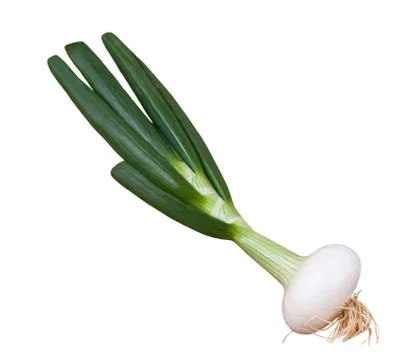 Scallion Foto stock