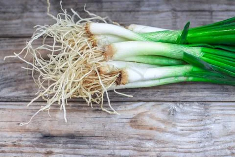 Scallion with root ends Stock Photos
