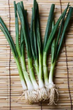 Scallions Stock Photos