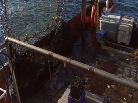 SCALLOP DREDGE PULLED FROM THE OCEAN TO ONBOARD SHIP 2 Stock Footage 76584590