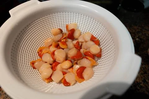 Scallop meat without shell Stock Photos