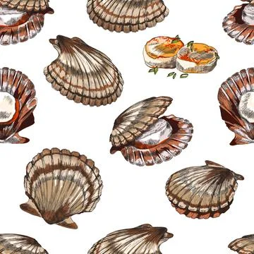 Scallop or clam seamless pattern in hand drawn sketch style, vector illustration Stock Illustration