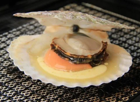 Scallop Stock Photos