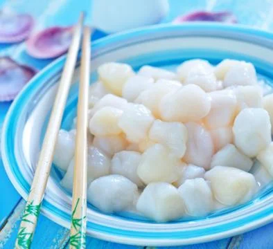 Scallop Stock Photos