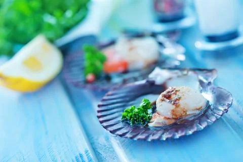 Scallop Stock Photos
