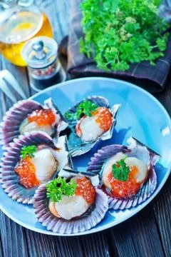 Scallop Stock Photos