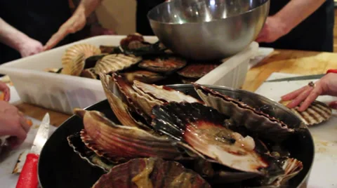 Scallop Restaurant Chef Pack Stock Footage 34468681