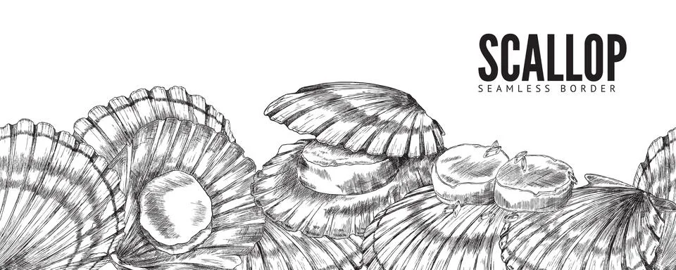 Scallop seashell horizontal seamless border, vector pencil sketch. Sea shell Stock Illustration