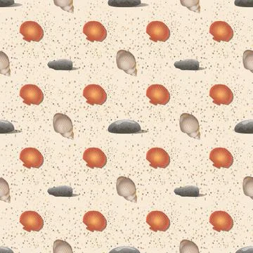 Scallop Seashell, pebbles and shell of hermit crab seamless pattern Stock Illustration