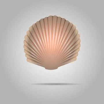 Scallop Seashell Vector. Scallops Shell Isolated On gray Background イラスト素材