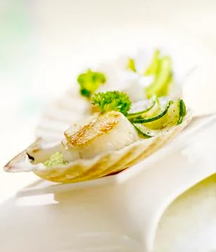 Scallop served in a scallop shell Stock Photos
