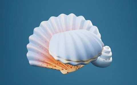 Scallop shell and spiral shell with cartoon style, 3d rendering. Stock Illustration