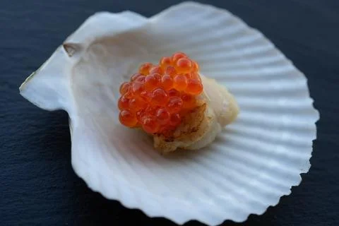 Scallop on a shell with a cap of red caviar. Stock Photos