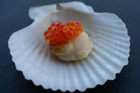 Scallop on a shell with a cap of red caviar. Stock Photos