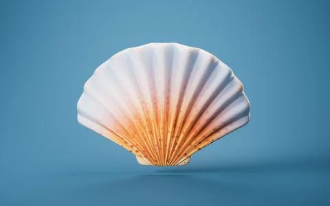 Scallop shell with cartoon style, 3d rendering. Stock Illustration