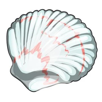 Scallop shell isolated on white background. Seafood and delicacies. Vector Illustrazione stock