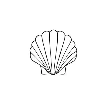 Scallop Shell Line Drawing Minimalist Design Stock Illustration