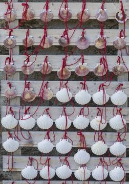 Scallop shell with red cross, which pilgrims carry on Camino de Santiago, Spain. Stock Photos