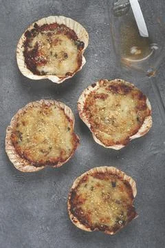Scallop shells, stuffed, baked with cheese, in the oven, julienne with scallops Stock Photos