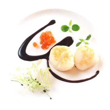 Scallop Starter Stock Photos