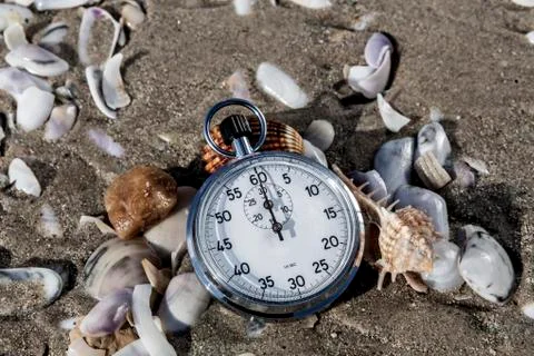 Scallops And Chronometer Stock Photos