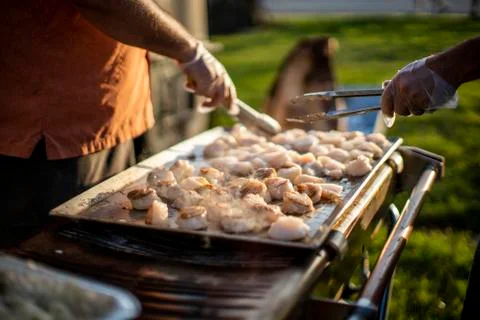 Scallops BBQ at sunset Stock Photos
