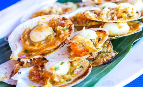 Scallops cooked with spices. Stock Photos