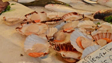 Scallops 스톡 동영상 23373949