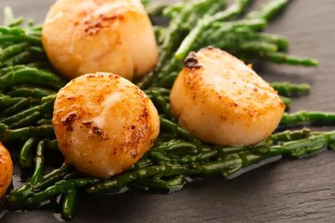 Scallops with Marsh Samphire Stock Photos