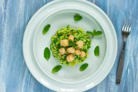 Scallops on minted pea risotto Stock Photos