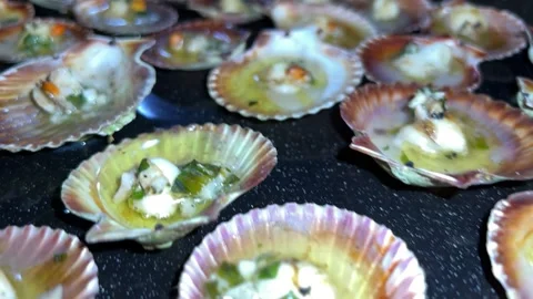 Scallops in the oven dish Video stock 221100760