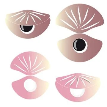 Scallops with pearl on white background Illustrazione stock