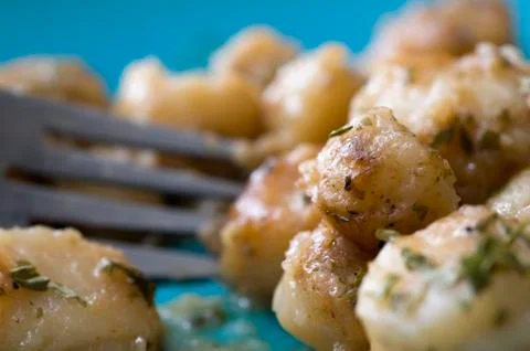 Scallops Stock Photos