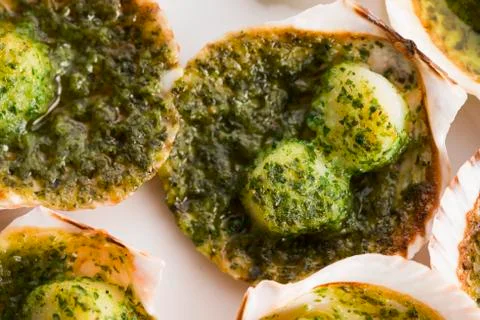 Scallops Stock Photos