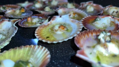Scallops prepared in the kitchen Video stock 220945685