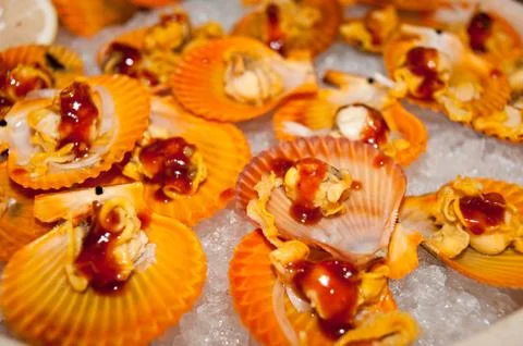 Scallops, seafood Stock Photos