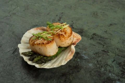Scallops served with asparagus on a shell Fotos Stock