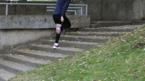 The scamper in the autumn park Stock Footage 68775253