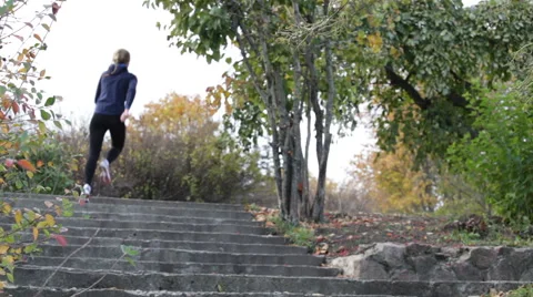 The scamper in the autumn park Stock Footage 68775364