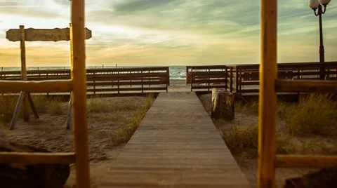 Scamper to the Beach. Stock Footage 67463578