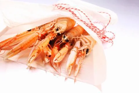 Scampi on paper Stock Photos