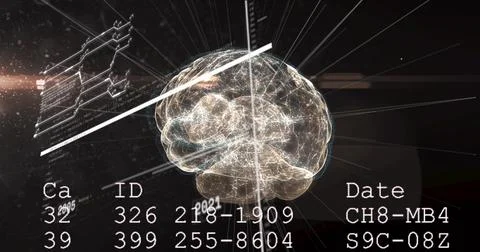 Scan bar starting translucent brain rotating on timeline axis while ID codes 스톡 일러스트