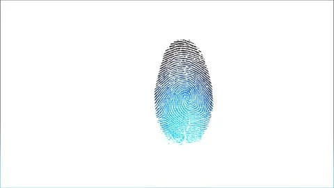 Scan biometric identity and access password Stock-Footage 303886827