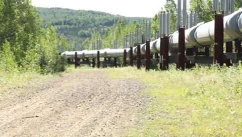 Scan of section the Alaskan pipeline (HD) c Video stock 8765625
